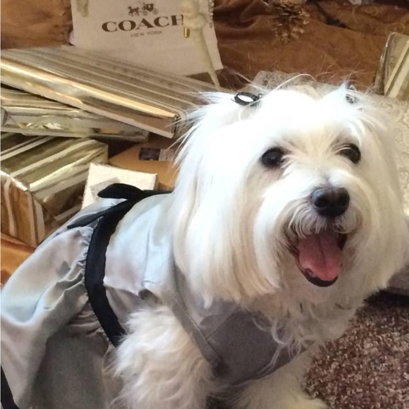 Meet your Posher, Doreen - Picture 5 of 11